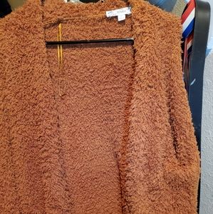 Sz large teddy sweater